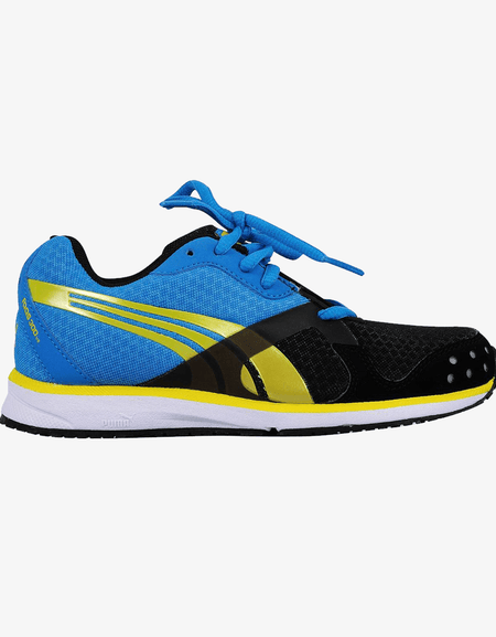 Donec condime fermen