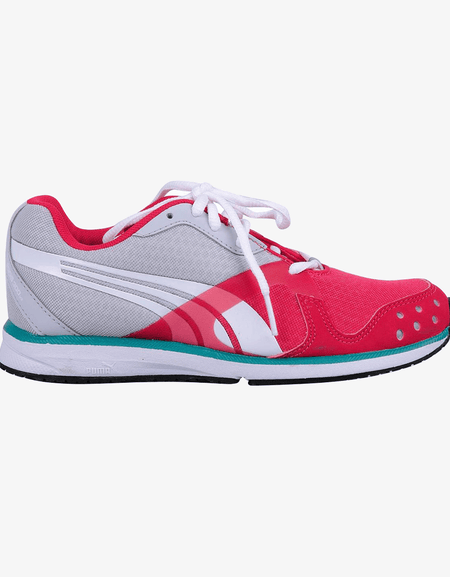 Donec condimentum fer